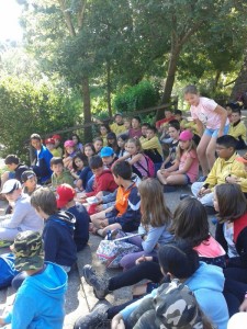 4df54c71730b914ee5459e9bfbdbc764