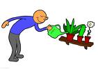 regar-planta