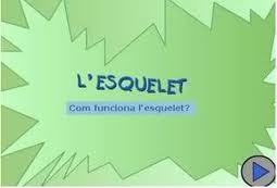 esquelet