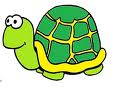 tortugues2