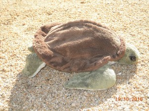 dscn12642