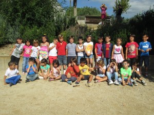 grups inici curs 017