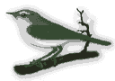 ave