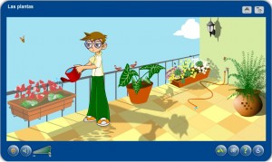 Plantes