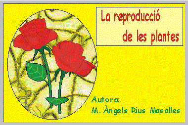 la-reproduccic3b3-de-les-plantes