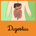 digestiu1