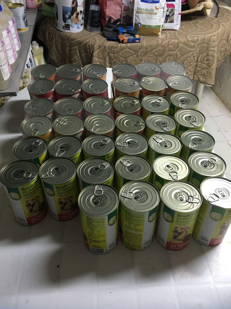 FB_IMG_1504618323360