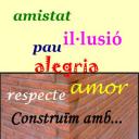 construim 2