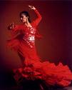 flamenco-2