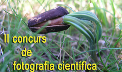 II concurs fotogràfic