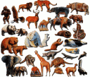 animals4.gif