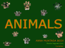 animals5.gif