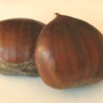 castanyes-marivi