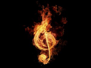 13526musica