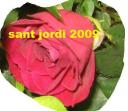 sant_jordi