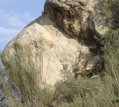 roca-gos01.jpg