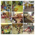DSC07077-COLLAGE