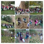 dsc08153-collage