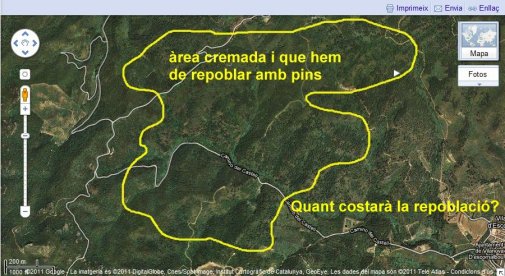 bosc_cremat