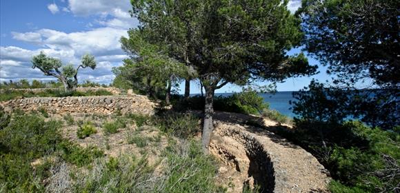 ametlla