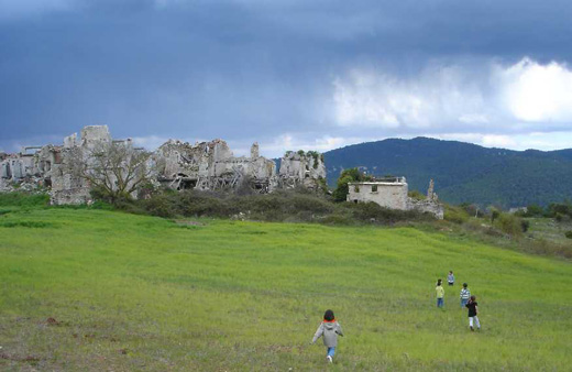 arboli4