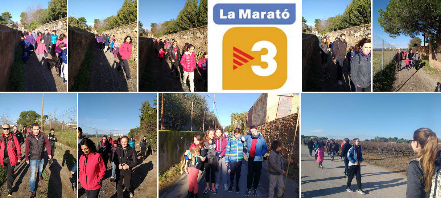 maratotv32016