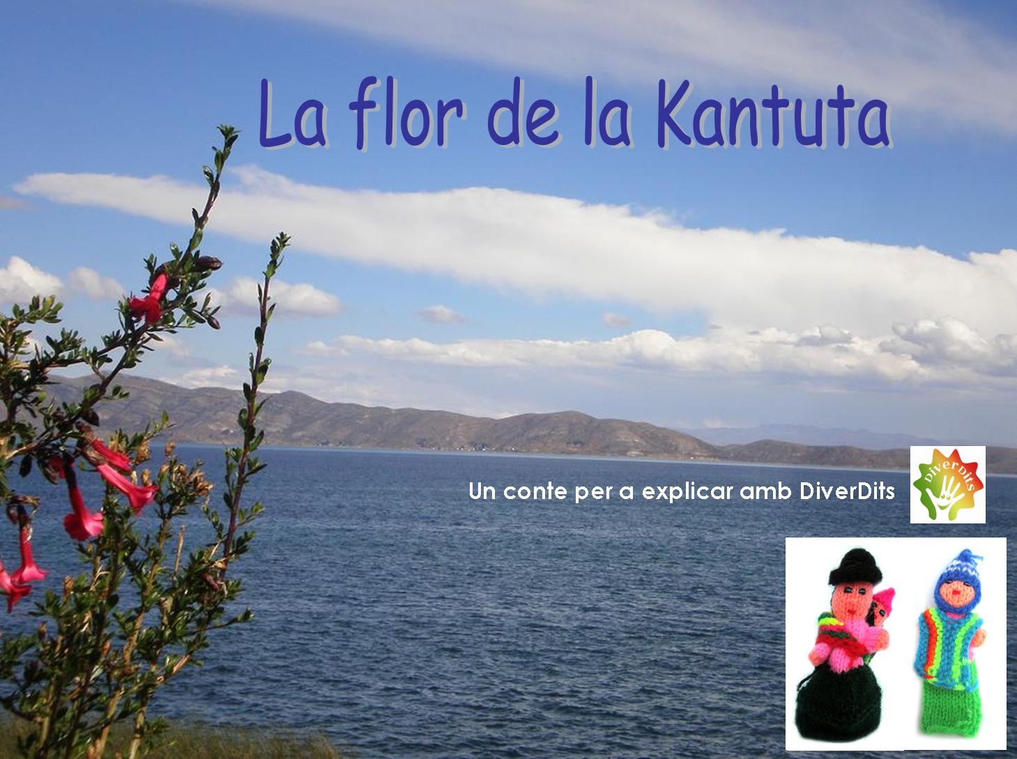imagen1.jpg