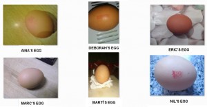 FOTOS EGGS