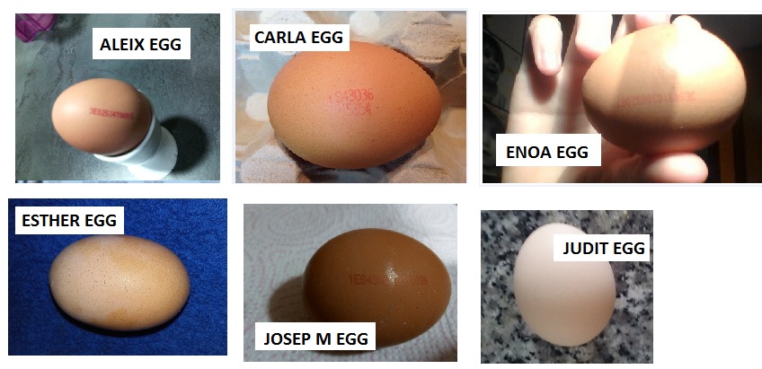 EGGS