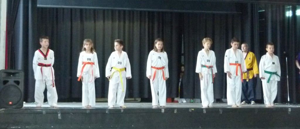 Taekwondo3