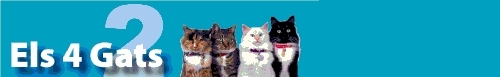 els 4 gats