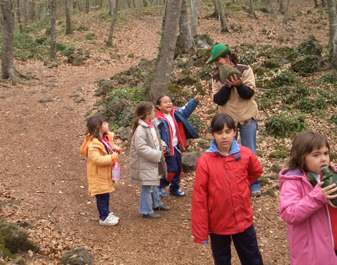fageda2.jpg