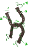 patshorse