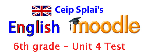 Unit 6 Moodle Test 4