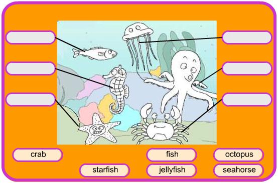 label-the-sea-animals