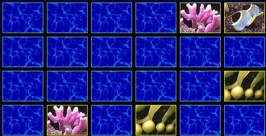 memory-sea-life