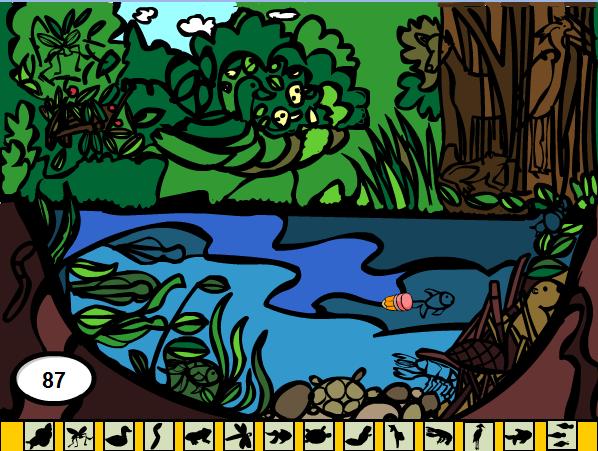 pond