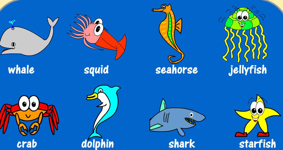 sea