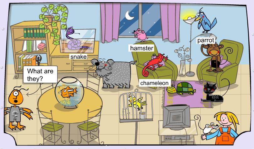 pets-activities