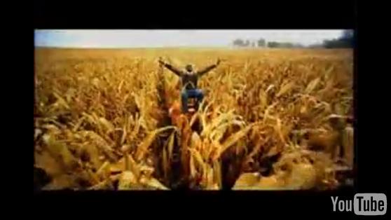 believe-fly