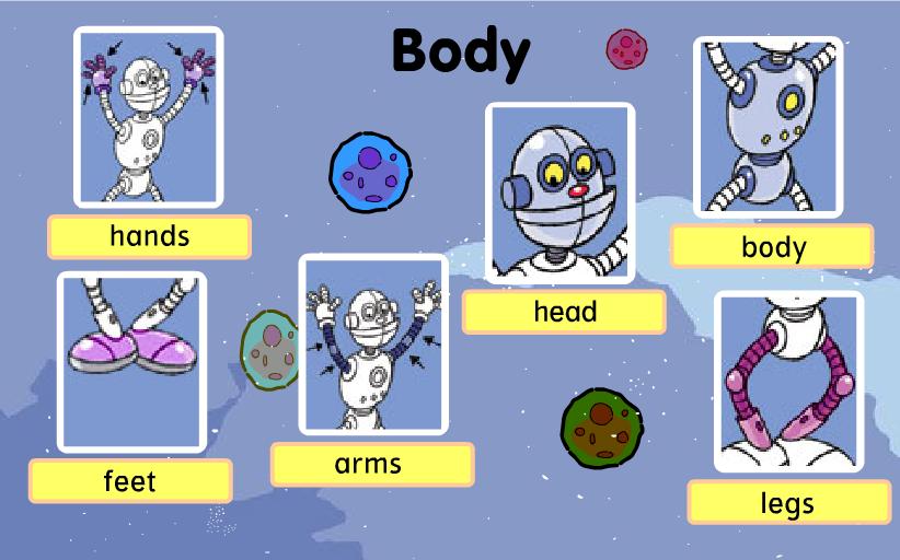 body