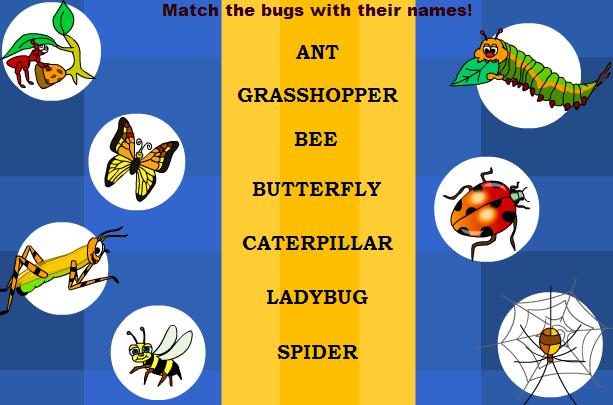 bugs