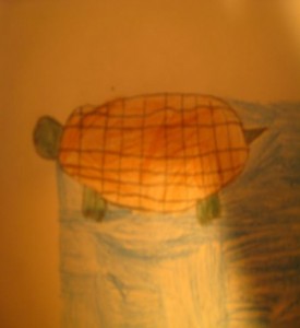 imagen-003-r11