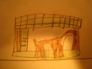 imagen-006-r1