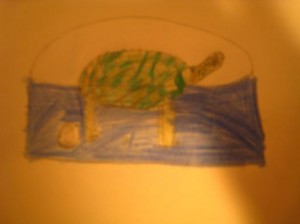 imagen-013-r1