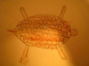 imagen-014-r1