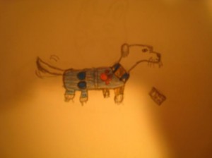 imagen-017-r1