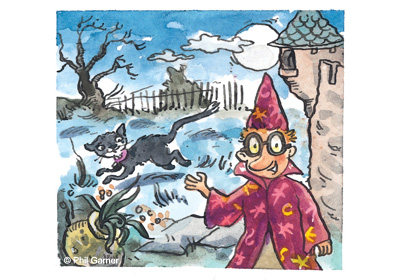 wizard-school