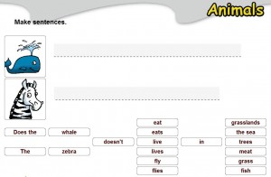 animals2
