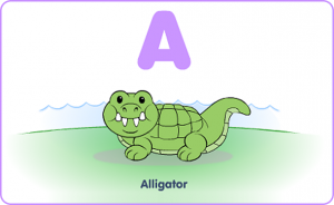 ABCs-Zoo_tcm169-11610